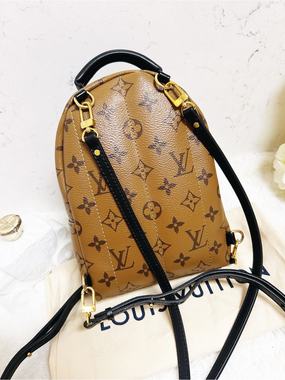 Authentic Louis Vuitton Reverse Monogram Palm Springs Mini Backpack / Bag - Picture 10 of 16